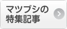 マツブシの特集記事