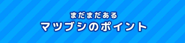 まだまだあるマツブシのポイント